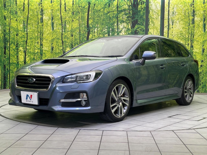 2014 Subaru Levorg DBA-VM4 (UW-69f80e065405a)[13]
