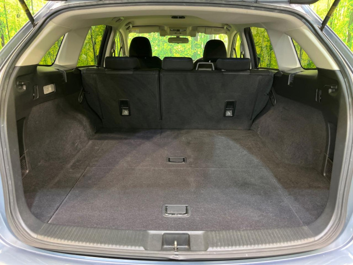 2014 Subaru Levorg DBA-VM4 (UW-69f80e065405a)[21]