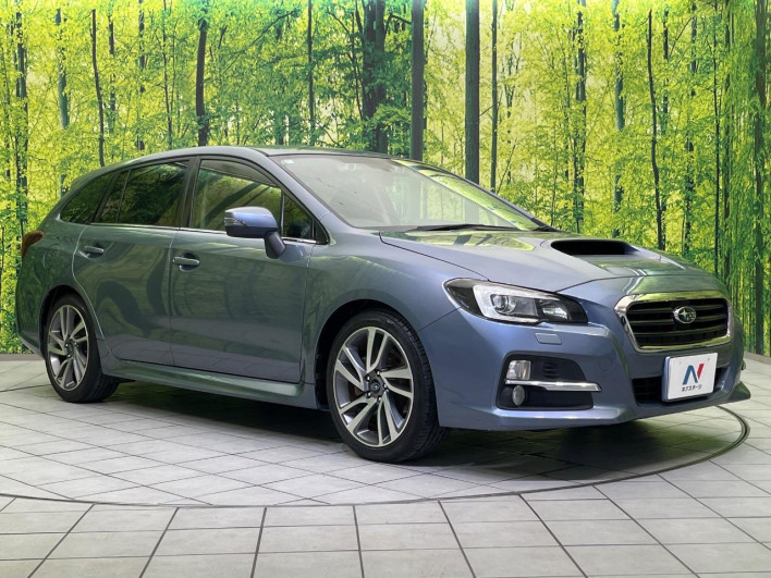 2014 Subaru Levorg DBA-VM4 (UW-69f80e065405a)[19]