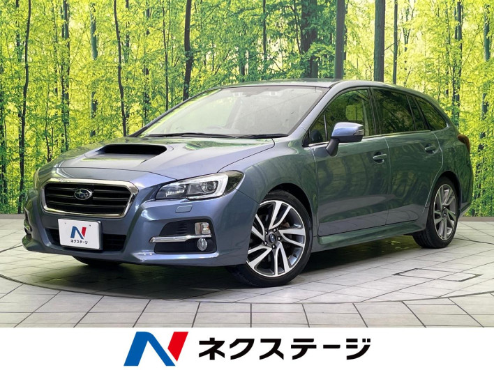 2014 Subaru Levorg DBA-VM4 (UW-69f80e065405a)[3]