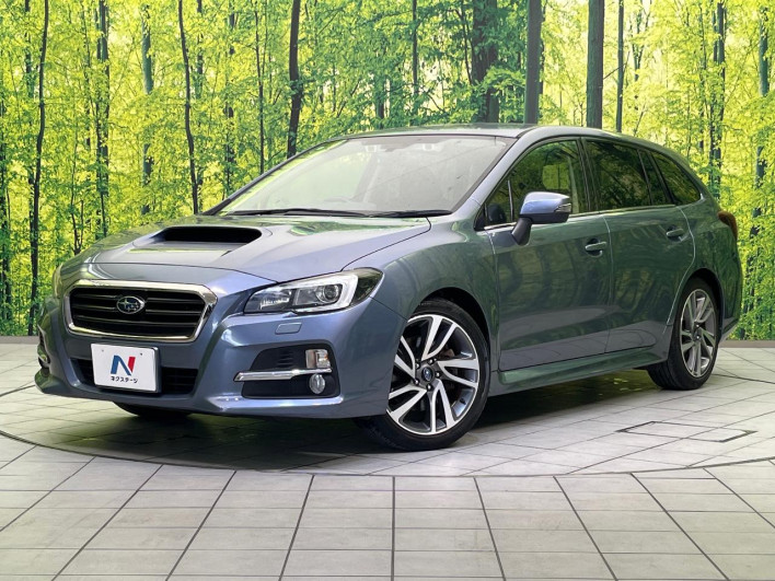 2014 Subaru Levorg DBA-VM4 (UW-69f80e065405a)[0]