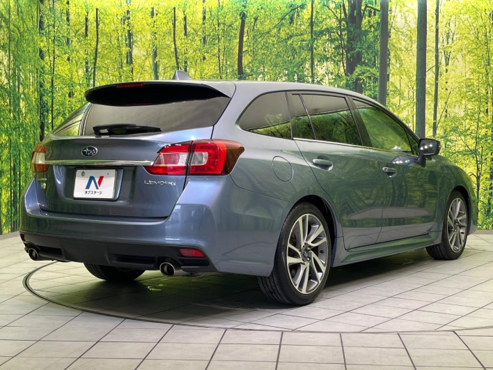 2014 Subaru Levorg DBA-VM4 (UW-69f80e065405a)[17]