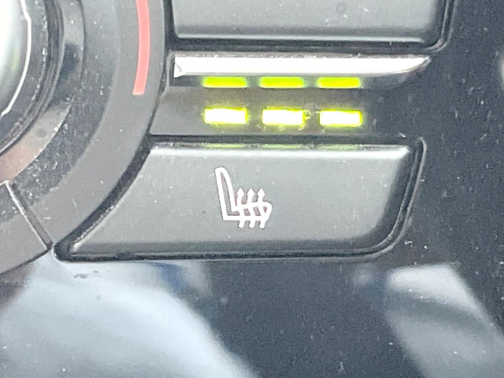 2018 BMW X4 DBA-XW20 (UW-69f80e0d9fd8e)[11]