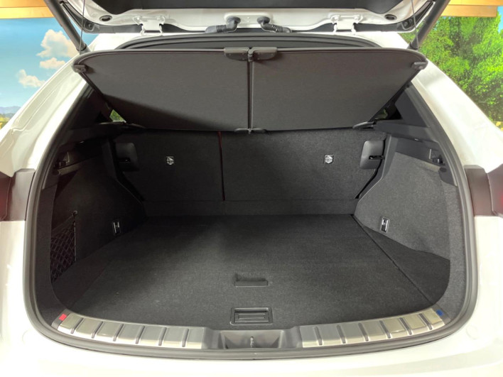 2023 Lexus NX 6AA-AAZH20 (UW-69f95dd6c5631)[13]