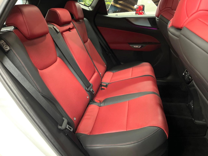 2023 Lexus NX 6AA-AAZH20 (UW-69f95dd6c5631)[20]