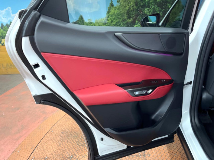 2023 Lexus NX 6AA-AAZH20 (UW-69f95dd6c5631)[7]