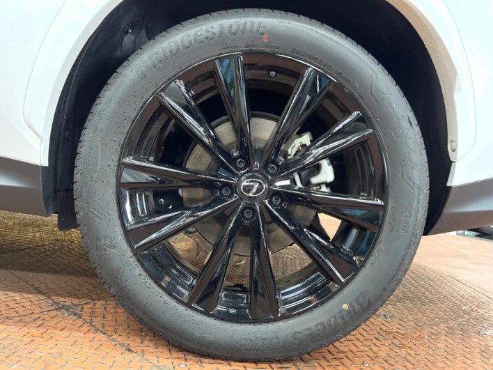 2023 Lexus NX 6AA-AAZH20 (UW-69f95dd6c5631)[10]