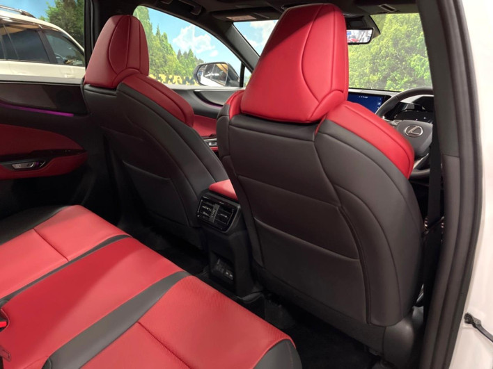 2023 Lexus NX 6AA-AAZH20 (UW-69f95dd6c5631)[21]