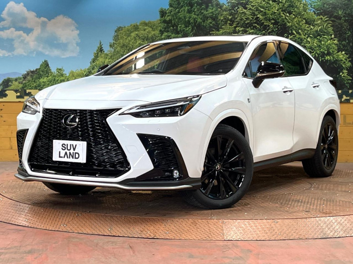 2023 Lexus NX 6AA-AAZH20 (UW-69f95dd6c5631)[0]