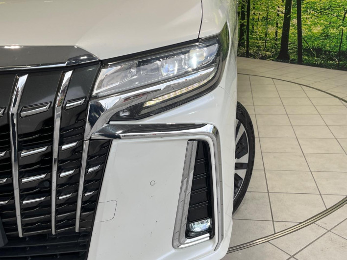 2018 Toyota Alphard DBA-AGH30W (UW-69f95dda69f13)[18]
