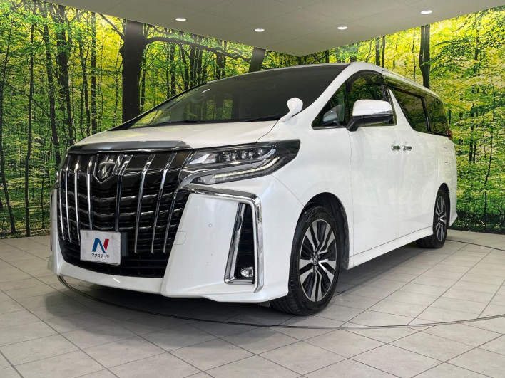 2018 Toyota Alphard DBA-AGH30W (UW-69f95dda69f13)[9]