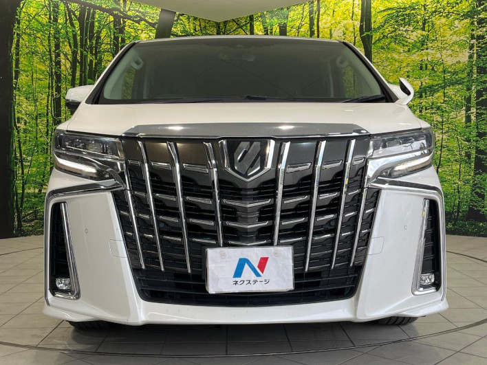2018 Toyota Alphard DBA-AGH30W (UW-69f95dda69f13)[16]