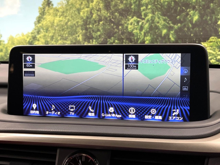 2020 Lexus RX DBA-AGL25W (UW-69f95de1c4dea)[27]