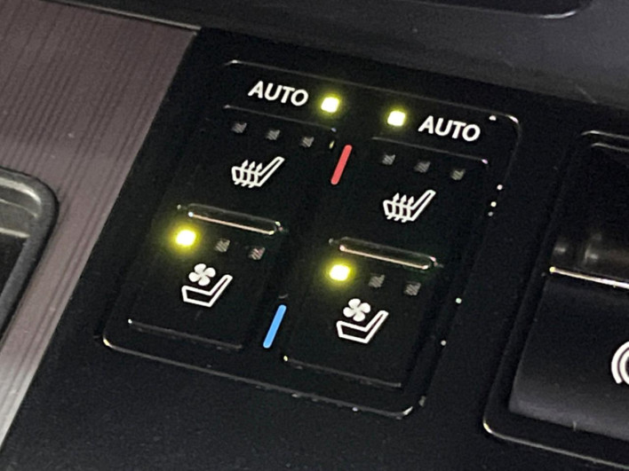 2020 Lexus RX DBA-AGL25W (UW-69f95de1c4dea)[29]