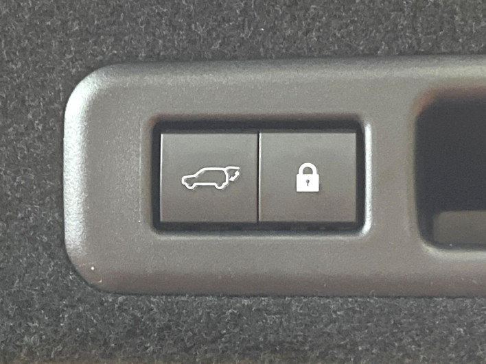 2020 Lexus RX DBA-AGL25W (UW-69f95de1c4dea)[13]