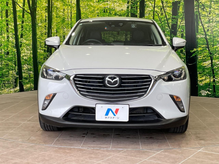 2015 Mazda CX-3 LDA-DK5FW (UW-69f95e0a1a6e5)[20]