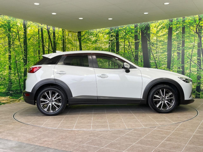 2015 Mazda CX-3 LDA-DK5FW (UW-69f95e0a1a6e5)[22]