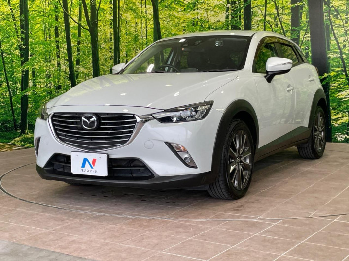 2015 Mazda CX-3 LDA-DK5FW (UW-69f95e0a1a6e5)[19]