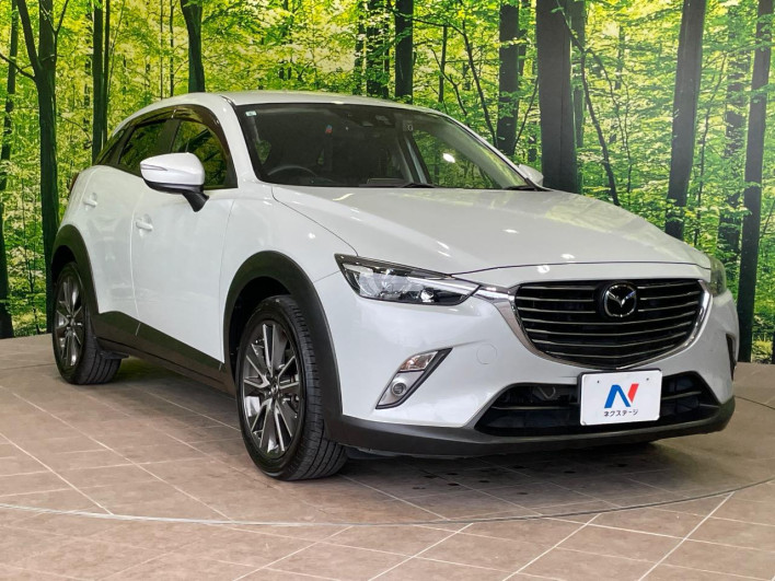 2015 Mazda CX-3 LDA-DK5FW (UW-69f95e0a1a6e5)[21]