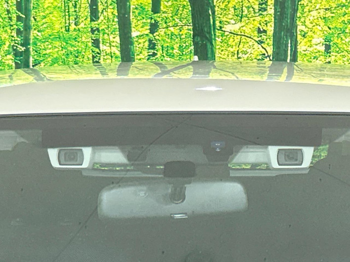 2017 Subaru XV DBA-GP7 (UW-69f95e275149a)[13]