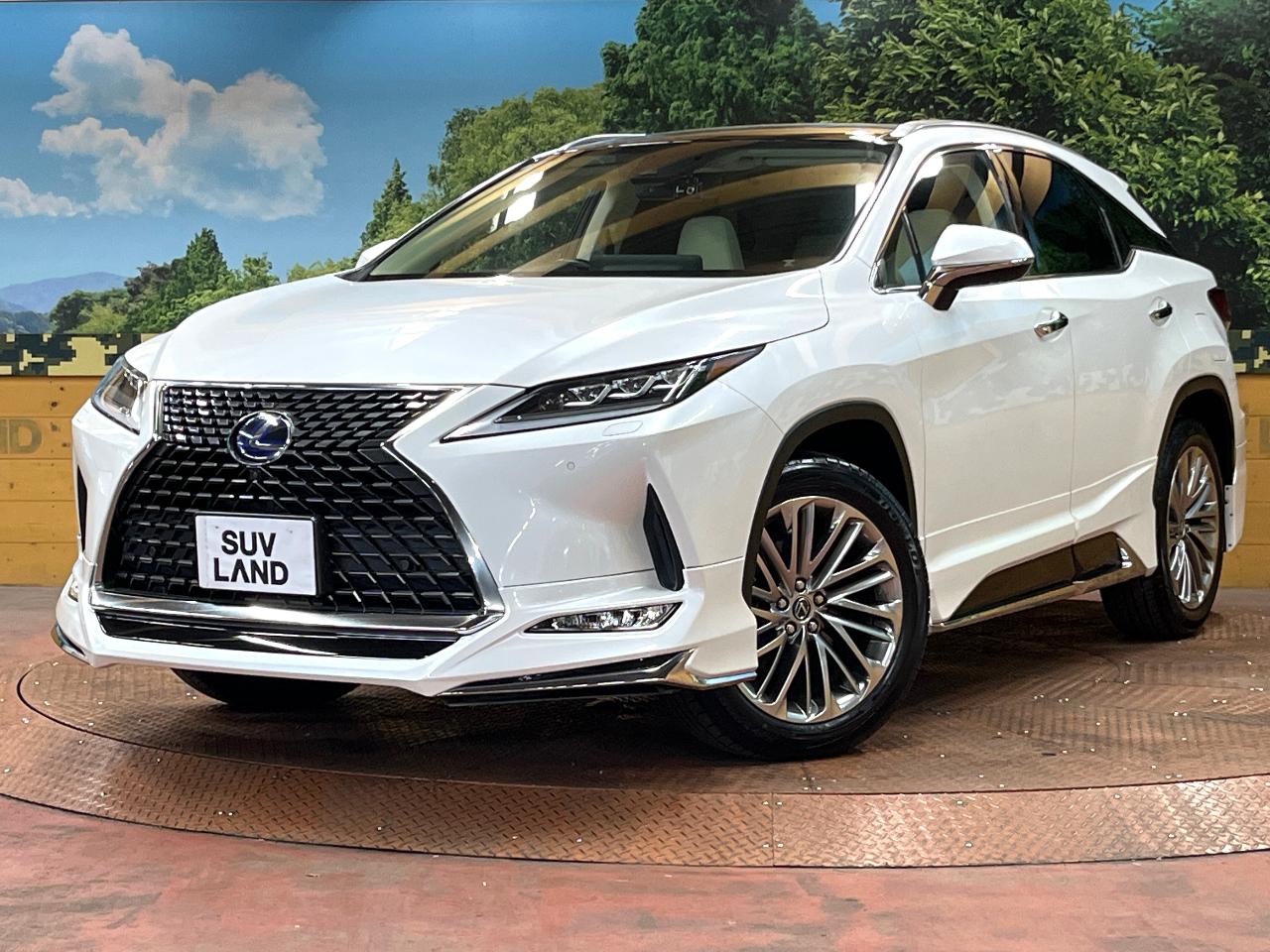 2021 Lexus RX 6AA-GYL20W