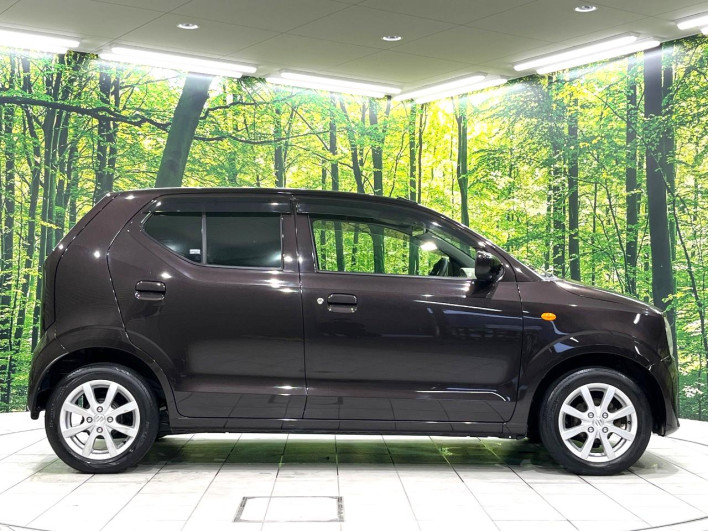 2017 Suzuki Alto DBA-HA36S (UW-69f95e2cb6f92)[10]