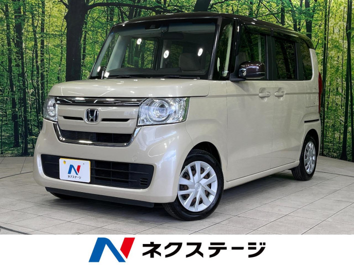 2019 Honda N-BOX DBA-JF3 (UW-69f95e486d09e)[3]