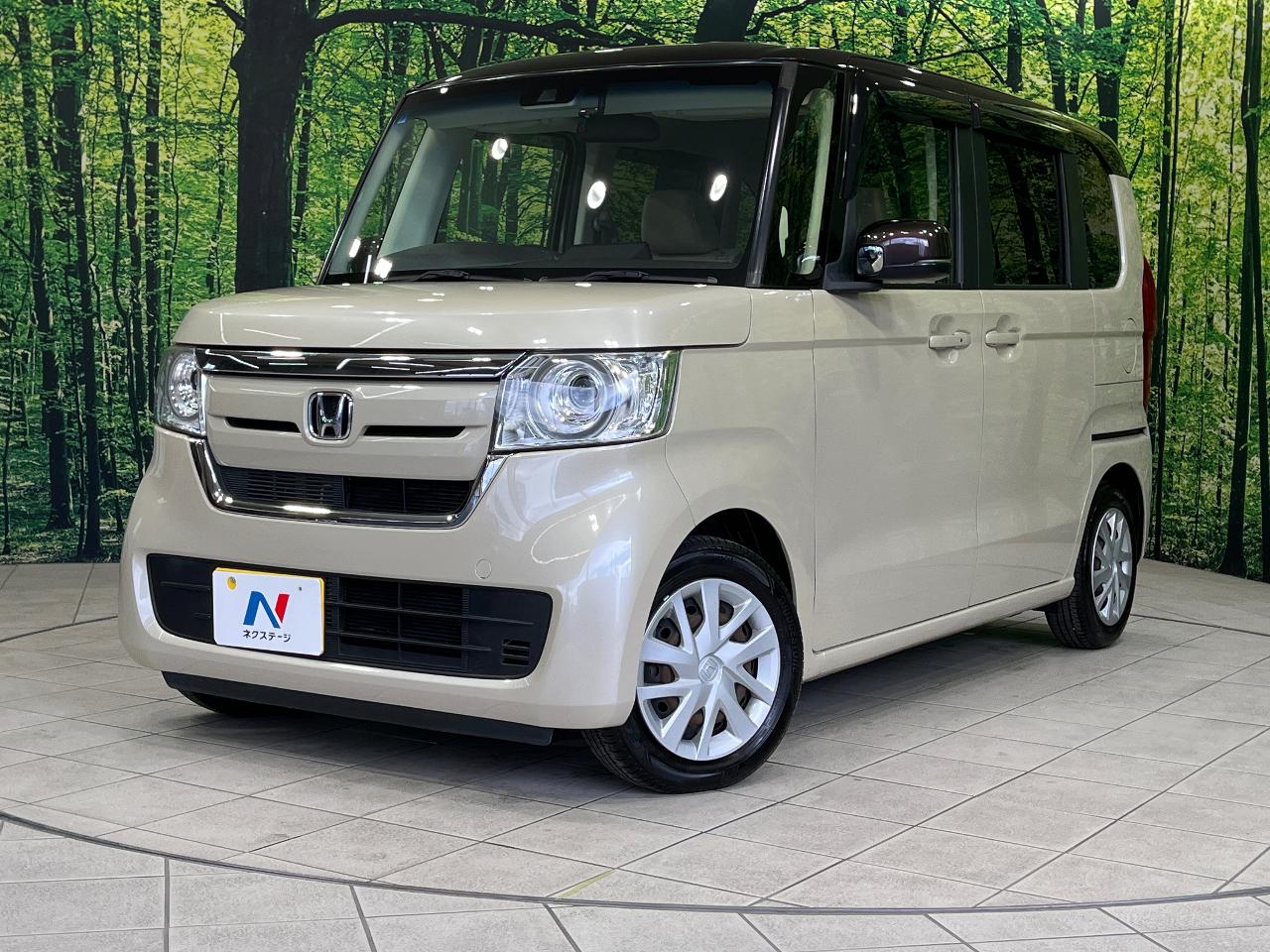2019 Honda N-BOX DBA-JF3