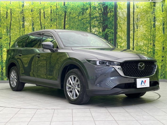 2023 Mazda CX-8 6BA-KG5P (UW-69f95e62dac98)[29]