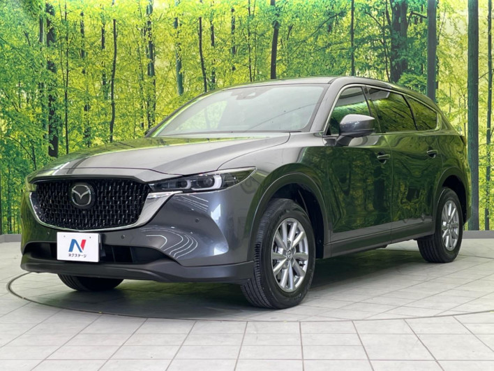 2023 Mazda CX-8 6BA-KG5P (UW-69f95e62dac98)[23]