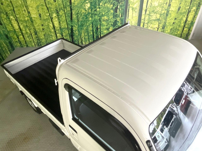 2022 Daihatsu Hiace Truck 3BD-S500P (UW-69f95ecaaaea9)[9]