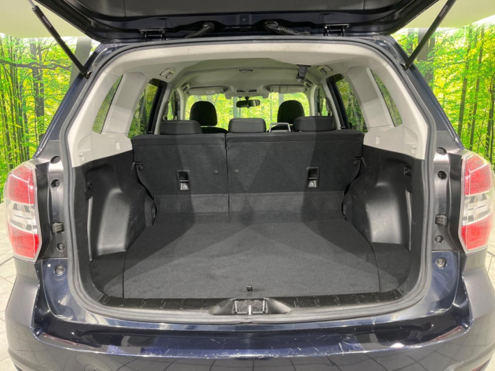 2013 Subaru Forester DBA-SJ5 (UW-69f95ecd66eb1)[12]