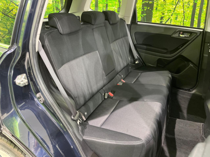 2013 Subaru Forester DBA-SJ5 (UW-69f95ecd66eb1)[28]