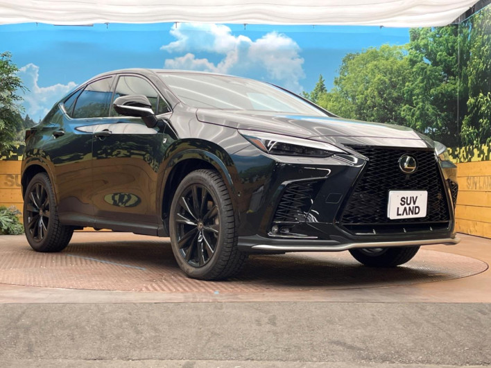 2025 Lexus NX 6AA-AAZH20 (UW-69faaf1de4b68)[10]