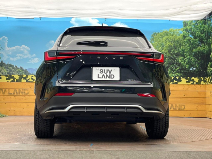 2025 Lexus NX 6AA-AAZH20 (UW-69faaf1de4b68)[7]