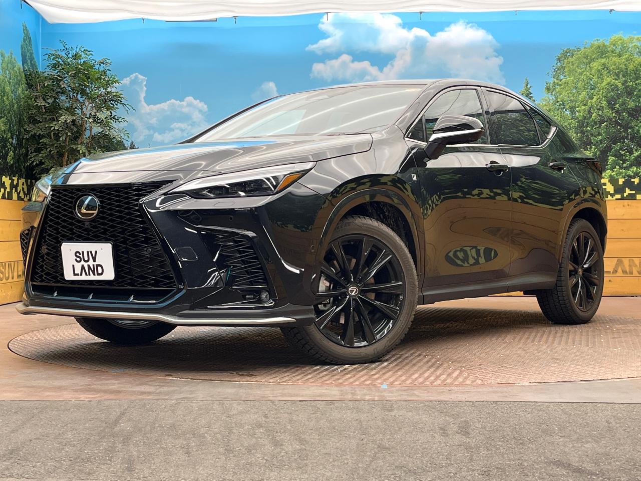 2025 Lexus NX 6AA-AAZH20