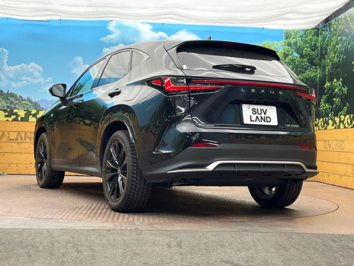 2025 Lexus NX 6AA-AAZH20 (UW-69faaf1de4b68)[6]