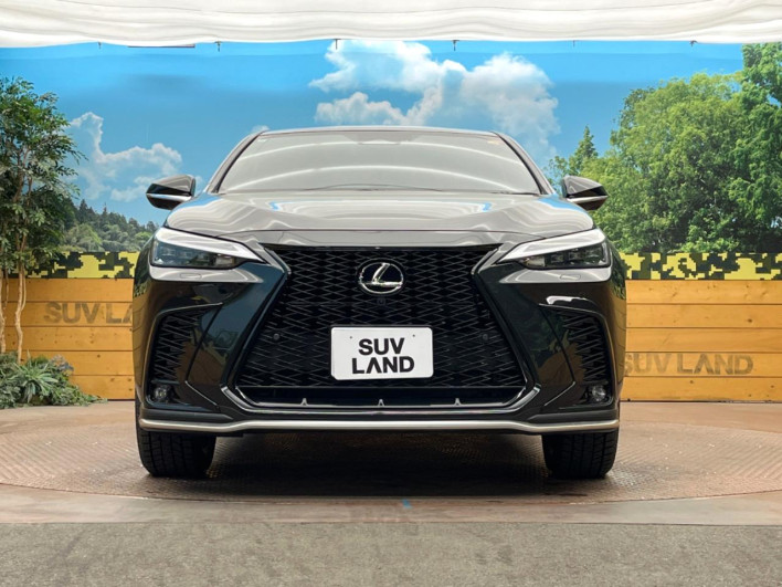 2025 Lexus NX 6AA-AAZH20 (UW-69faaf1de4b68)[11]