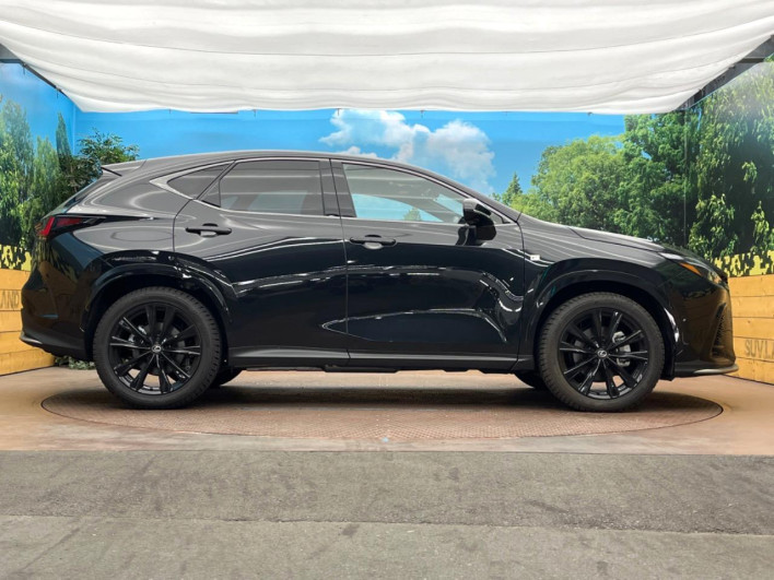 2025 Lexus NX 6AA-AAZH20 (UW-69faaf1de4b68)[9]
