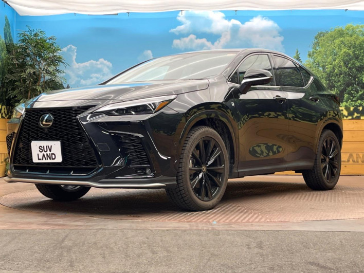 2025 Lexus NX 6AA-AAZH20 (UW-69faaf1de4b68)[4]