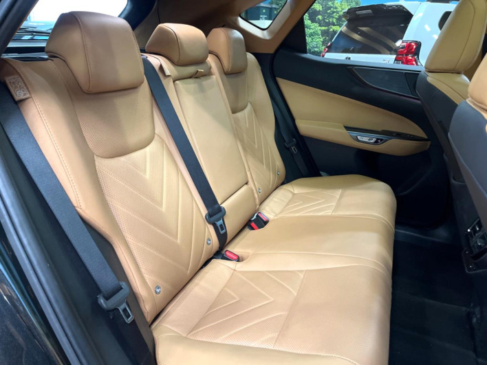 2023 Lexus NX 6AA-AAZH25 (UW-69faaf1e0f4b7)[20]