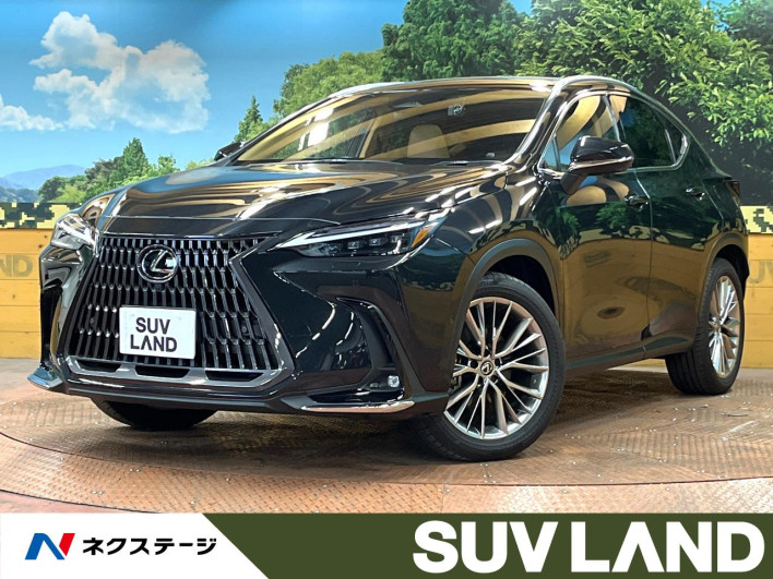 2023 Lexus NX 6AA-AAZH25 (UW-69faaf1e0f4b7)[3]