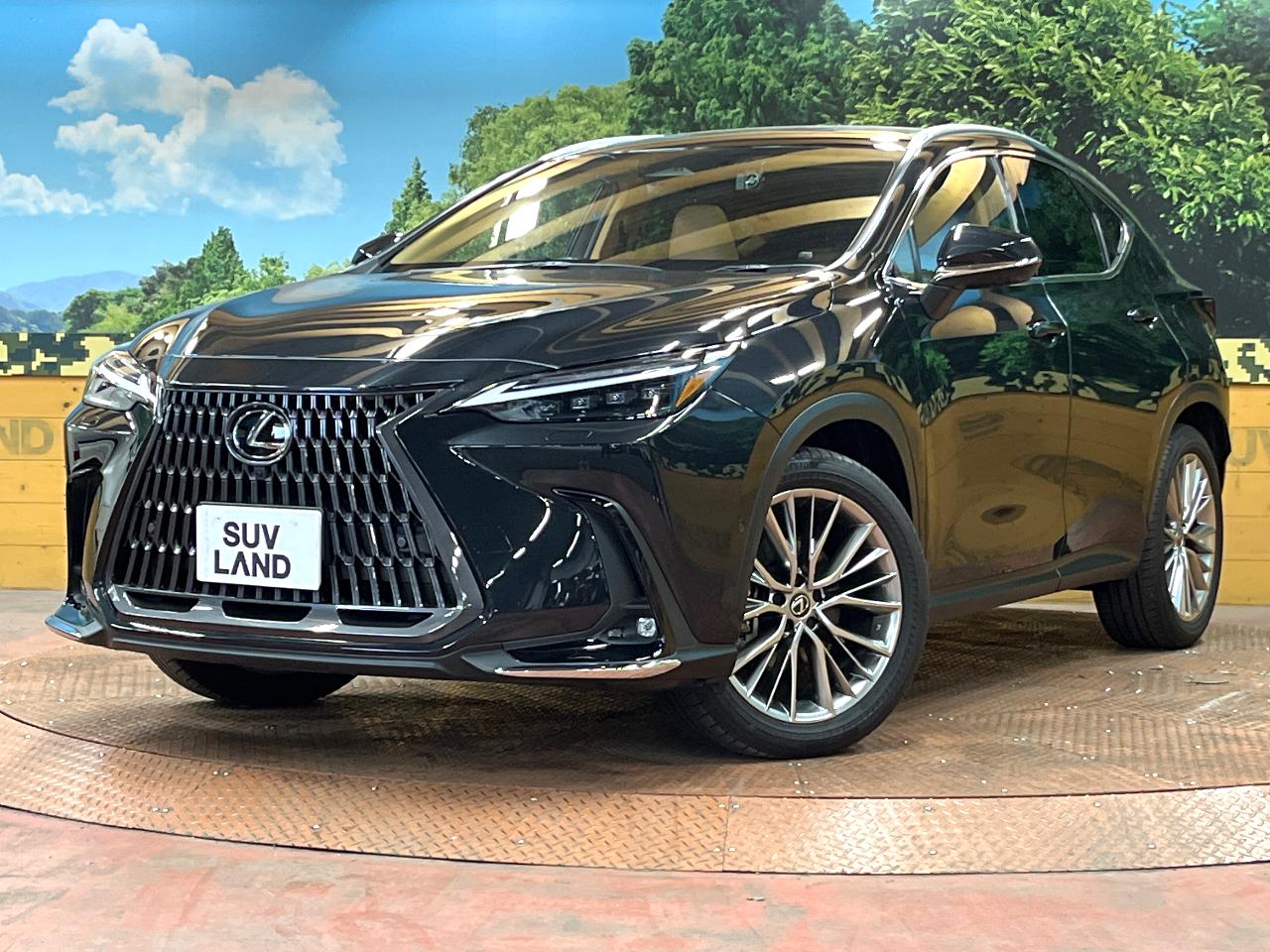 2023 Lexus NX 6AA-AAZH25