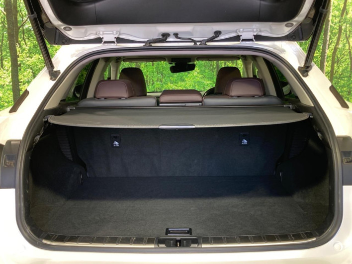 2018 Lexus RX DAA-GYL20W (UW-69faaf5f2fc1f)[17]