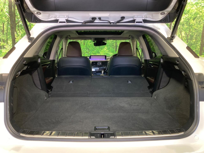 2018 Lexus RX DAA-GYL20W (UW-69faaf5f2fc1f)[12]