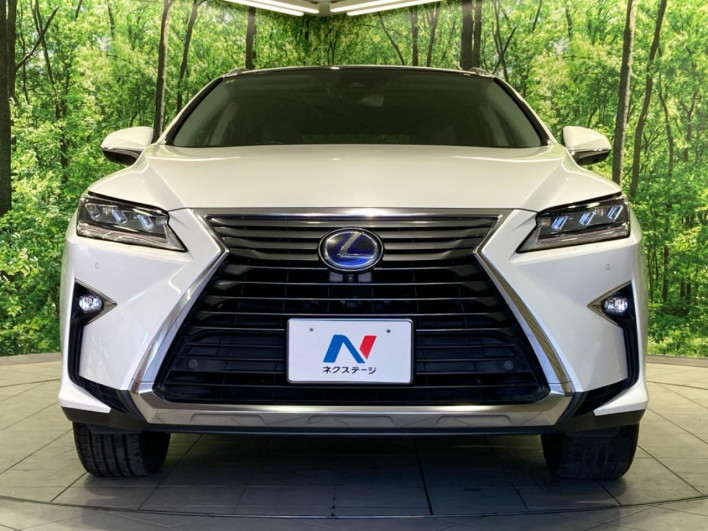 2018 Lexus RX DAA-GYL20W (UW-69faaf5f2fc1f)[7]