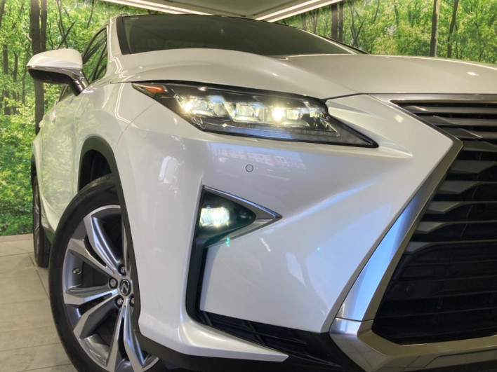 2018 Lexus RX DAA-GYL20W (UW-69faaf5f2fc1f)[25]
