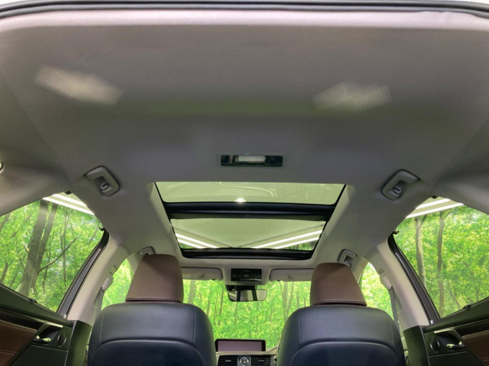 2018 Lexus RX DAA-GYL20W (UW-69faaf5f2fc1f)[13]