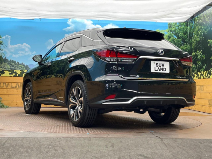2021 Lexus RX 6AA-GYL25W (UW-69faaf5fb9b3d)[6]