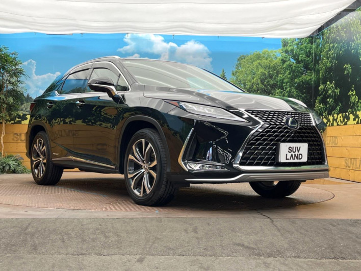 2021 Lexus RX 6AA-GYL25W (UW-69faaf5fb9b3d)[10]